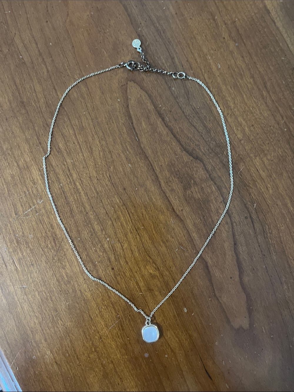 Loft Delicate Gold Toned Chain Necklace with Mother of Pearl Pendant